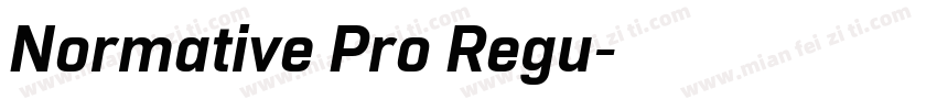 Normative Pro Regu字体转换